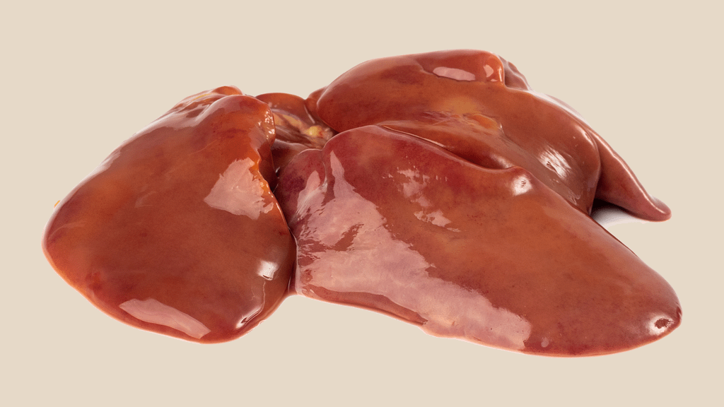 Liver