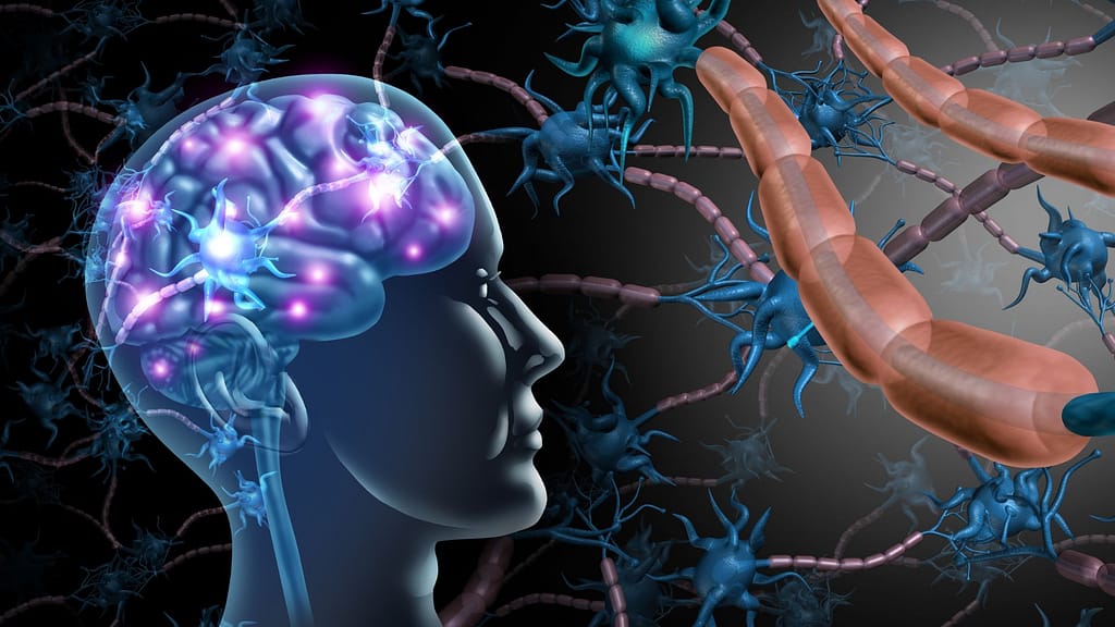 Boosts Brain Function
