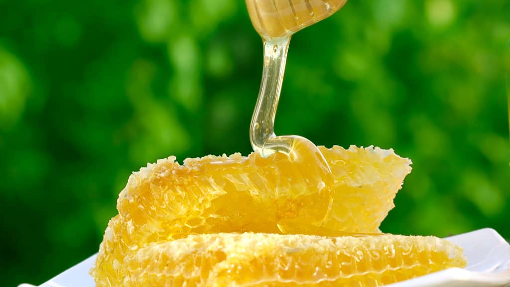 honey