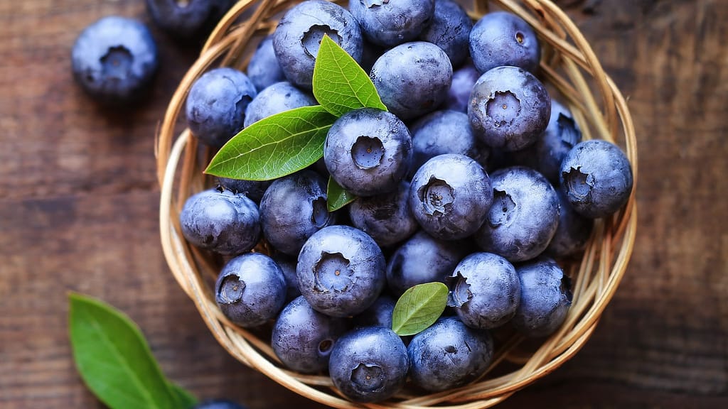 Blueberries