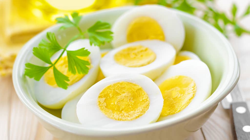 egg-healthy meal