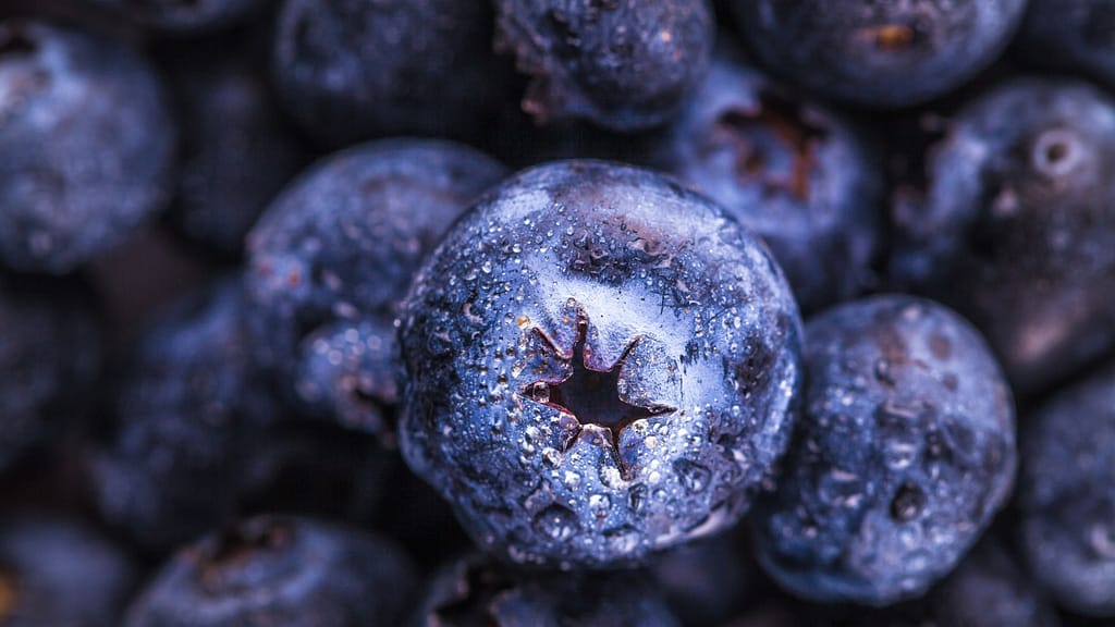 Blueberries:- healthy meal