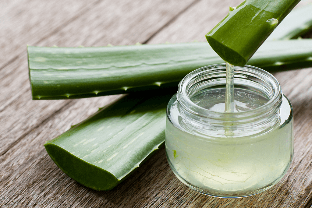  Aloe Vera