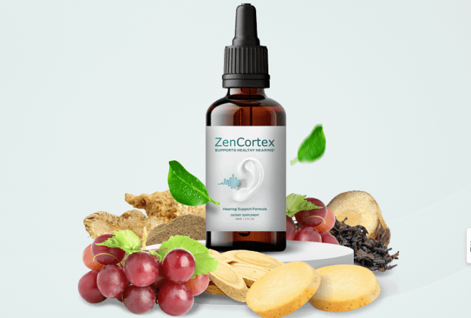 ZenCortex